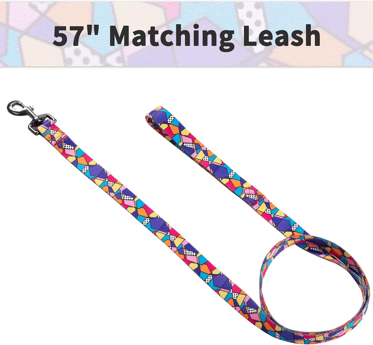 Dog Collar and Leash Set for Small Dogs & Cats, up to 20 Lbs