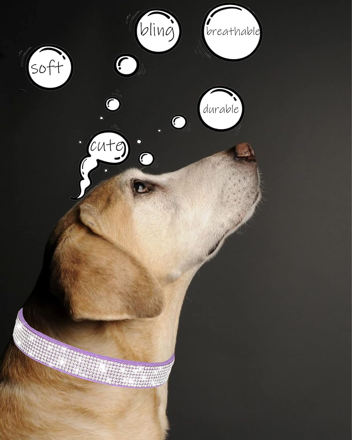 Rhinestone Dog Collar for Small Dogs Cats,Boy Girl Puppy Collars.