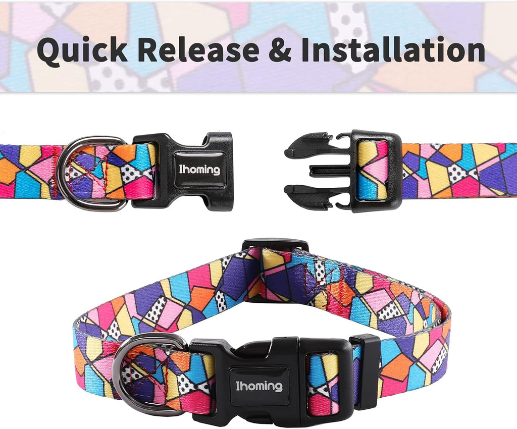 Dog Collar and Leash Set for Small Dogs & Cats, up to 20 Lbs
